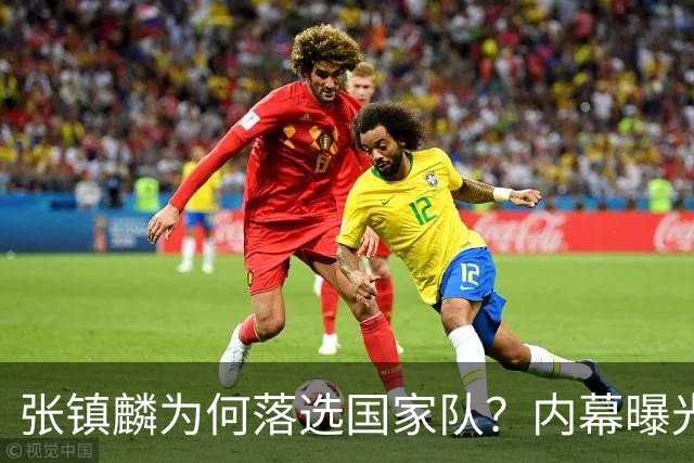 张镇麟为何落选国家队？内幕曝光，叫人心疼，郭士强并没放弃他